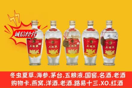 东阿县回收老五粮液
