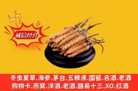 东阿县名酒回收冬虫夏草.jpg